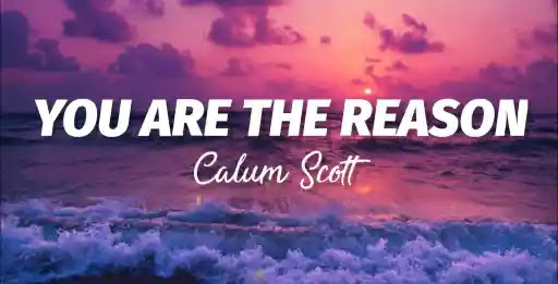 You Are The Reason Song Lyrics