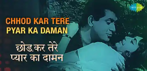 Chhodkar-Tere-Pyar-Ka-Daman-Song-Lyrics.jpeg