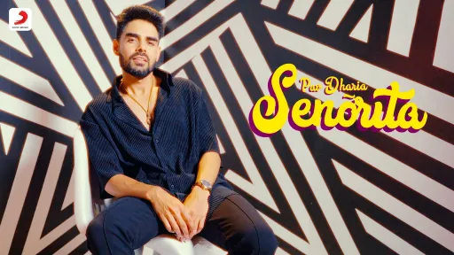 Senõrita Lyrics - Pav Dharia