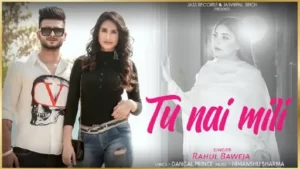 Tu Nai Mili Lyrics - Rahul Baweja